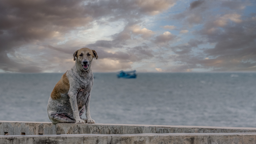 Pak Nam Pran, Thailand